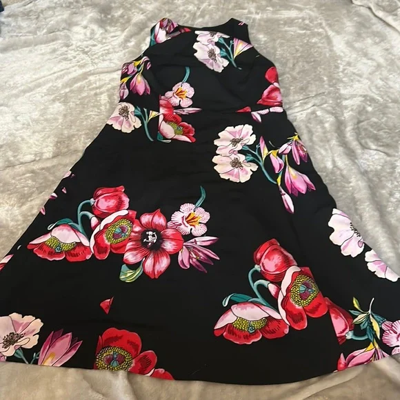Ann Taylor | Dresses | Ann Taylor Floral Fit And Flare Dress | Poshmark